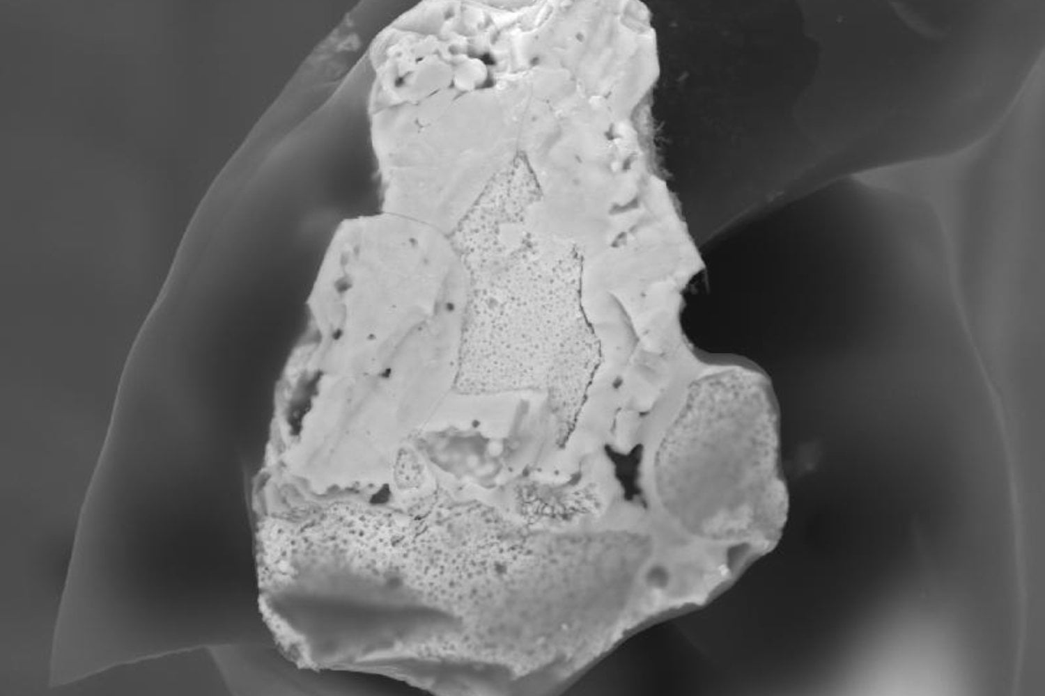Chernóbil explotó hace 40 años y dejó millones de partículas radiactivas dispersas. Seis de ellas acaban de contar una historia que nadie esperaba