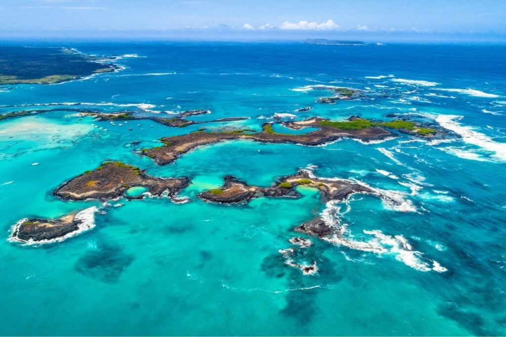 Las islas ocupan apenas el 7% de la superficie terrestre, pero albergan el 20% de la biodiversidad. Para 2050 enfrentarán una triple amenaza