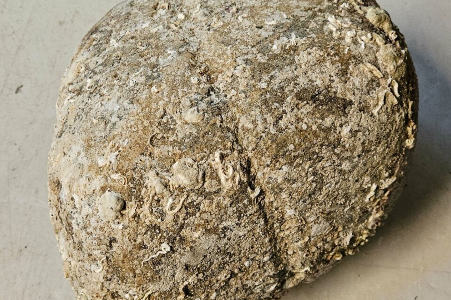 Hace miles de años, alguien perdió una piedra de 30 kilos en el mar. Ahora los arqueólogos creen que podría cambiar la historia de la navegación