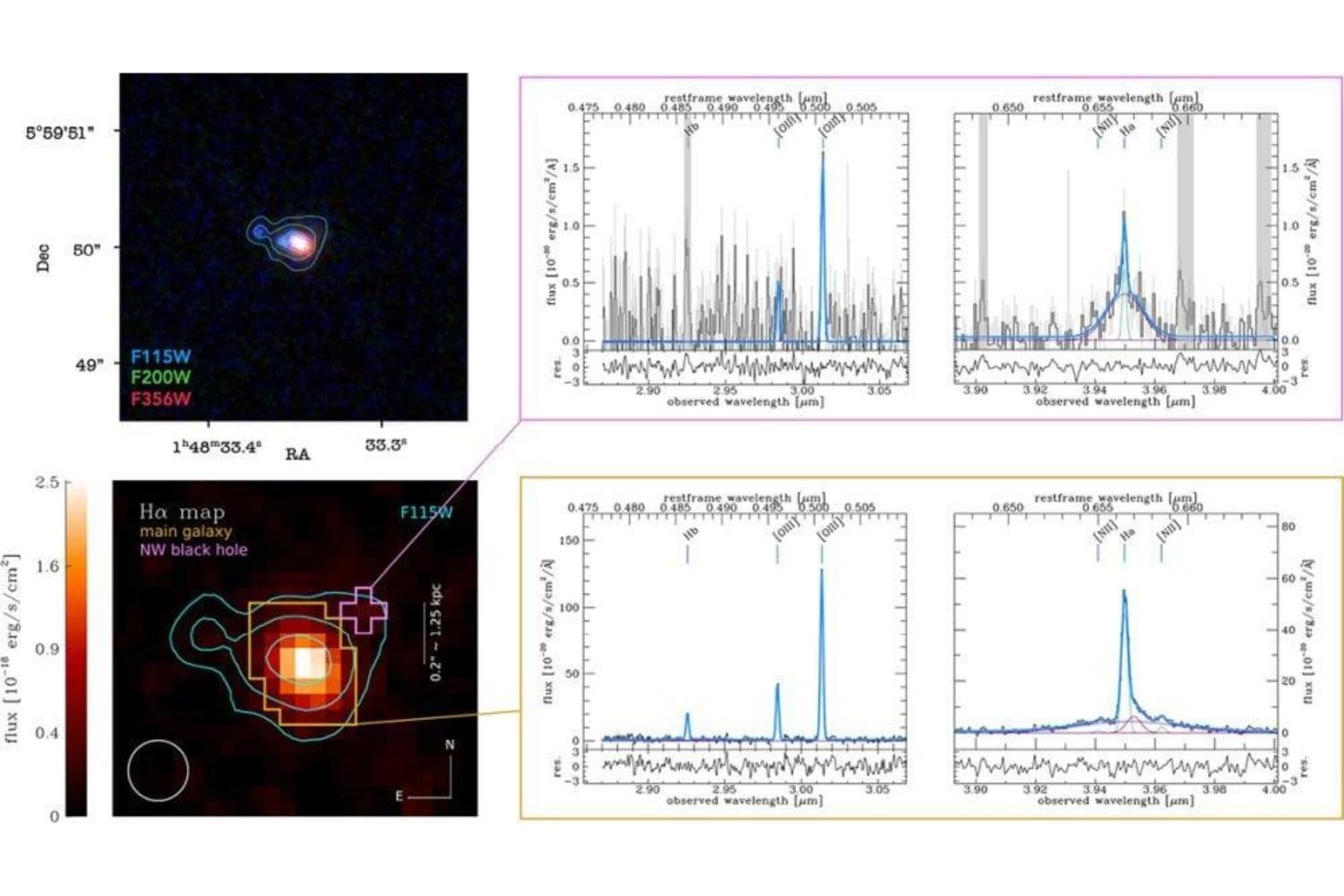 El James Webb encontró tres agujeros negros gigantes en una galaxia de hace 12.500 millones de años. Uno de ellos está haciendo algo que los científicos no esperaban