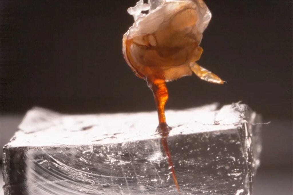 Una abeja puede morir después de picarte, pero su aguijón tiene otros planes. Los científicos acaban de descubrir una maquinaria que funciona incluso sin ella