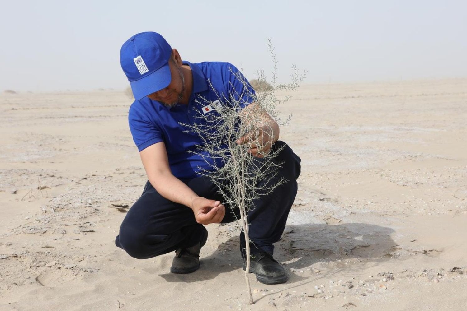 La URSS hizo desaparecer uno de los mares más grandes del planeta. Sesenta años después, Uzbekistán intenta convertir aquella catástrofe en un bosque