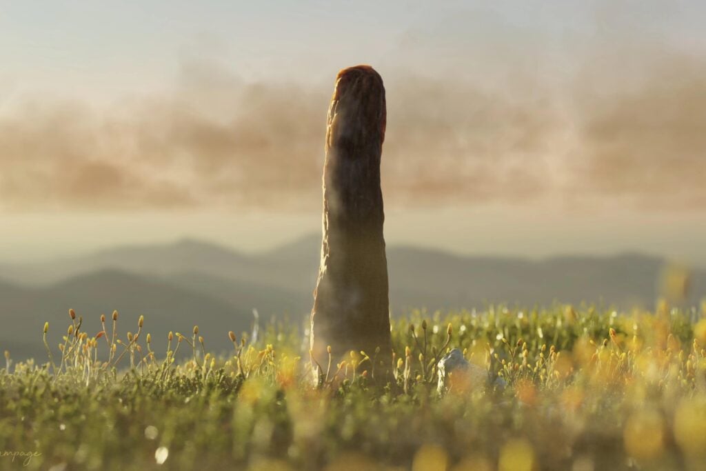Hace 400 millones de años, la Tierra estaba dominada por unos gigantes imposibles. Ahora los científicos sospechan que no pertenecían a ningún reino conocido