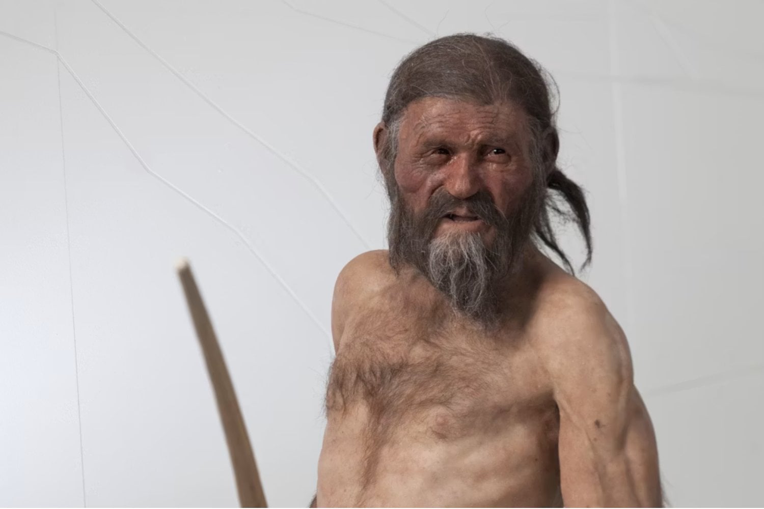 Ötzi lleva 5.300 años muerto y tres décadas congelado en un museo. Su cuerpo acaba de revelar que todavía es un ecosistema