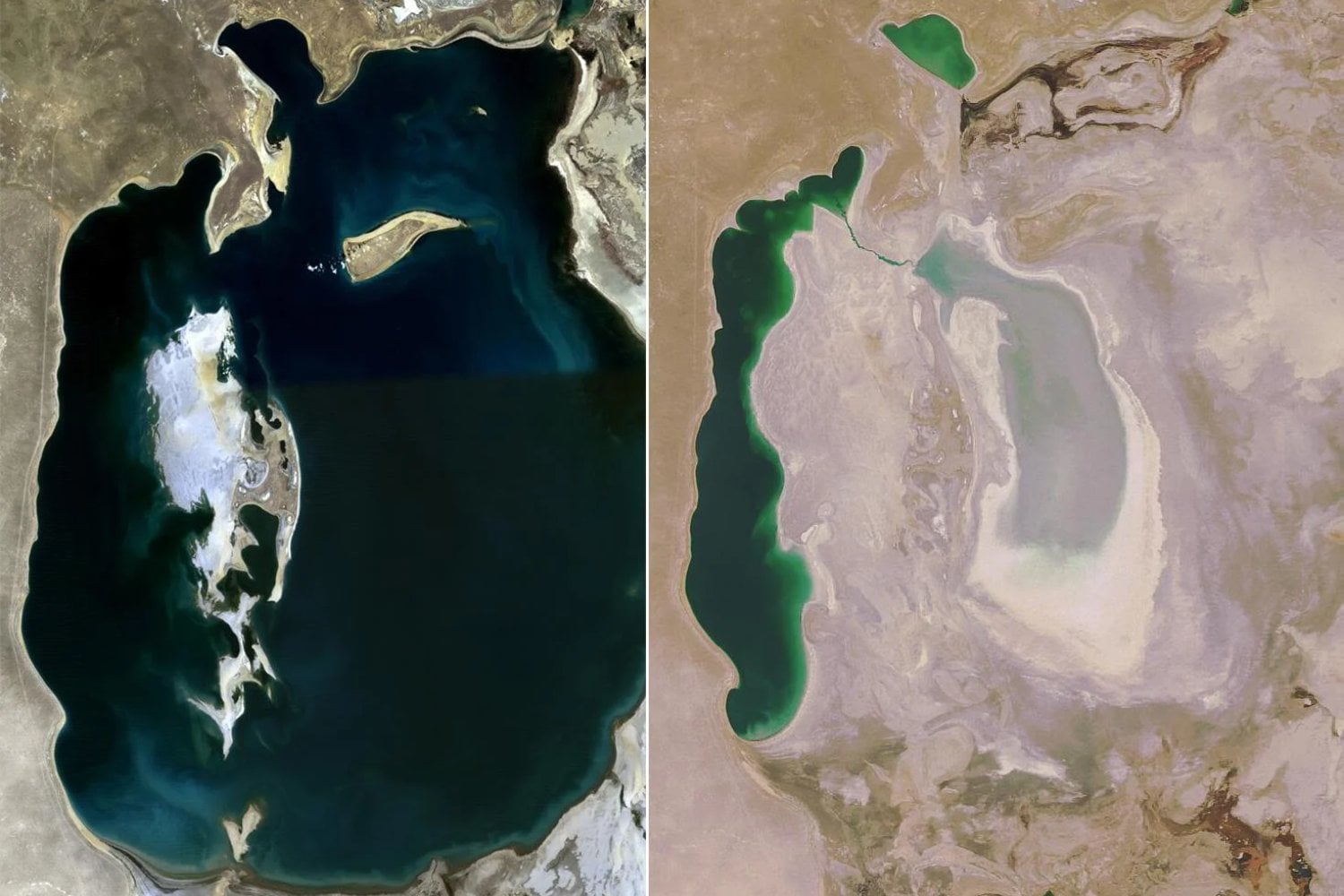 La URSS hizo desaparecer uno de los mares más grandes del planeta. Sesenta años después, Uzbekistán intenta convertir aquella catástrofe en un bosque