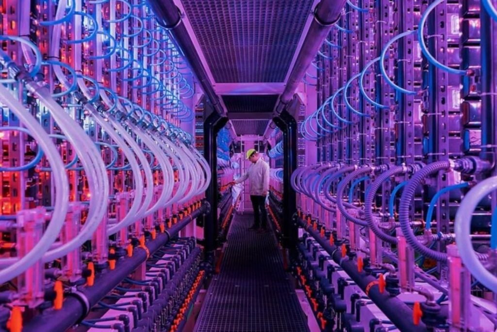 Islandia está cultivando alimentos en una fábrica que parece sacada de una película de ciencia ficción. No necesita luz solar y utiliza el calor de la Tierra para funcionar