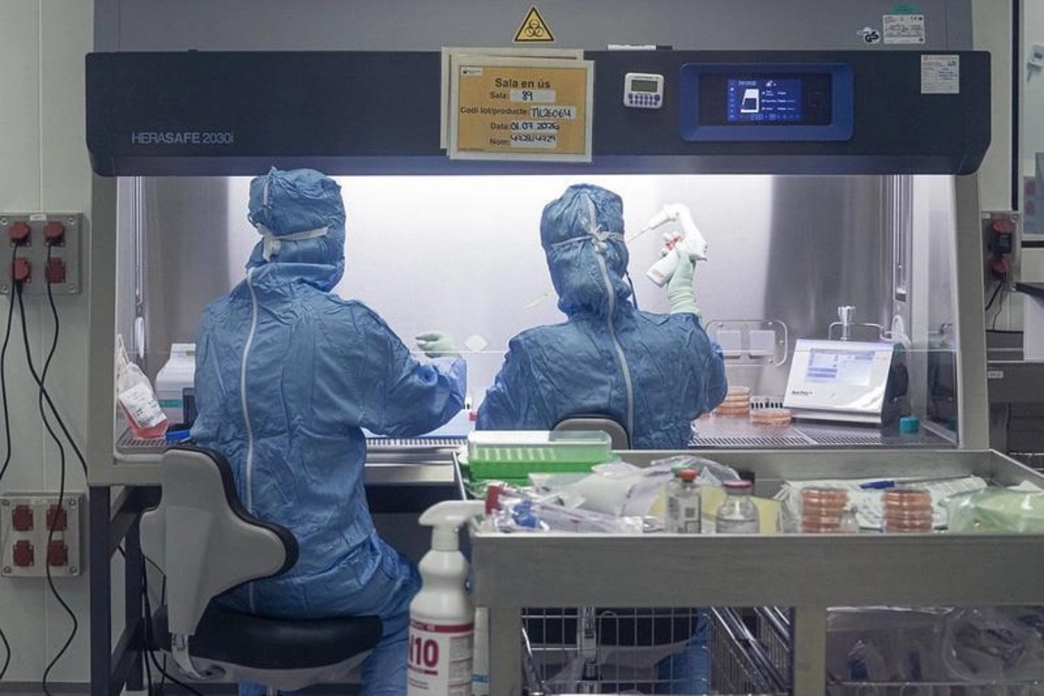 Europa quiere cambiar las reglas contra un cáncer que todavía no tiene cura. Su plan es fabricar células asesinas listas para atacar cuando el paciente las necesite