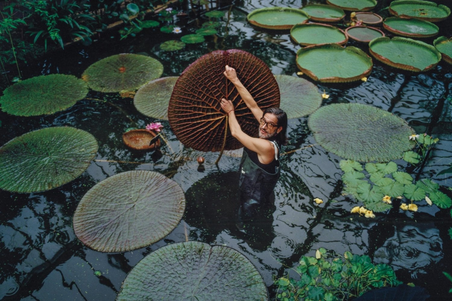 Una planta gigante llevaba años escondida en la selva de Colombia. Una foto de Instagram terminó revelando algo que hasta los satélites podían ver
