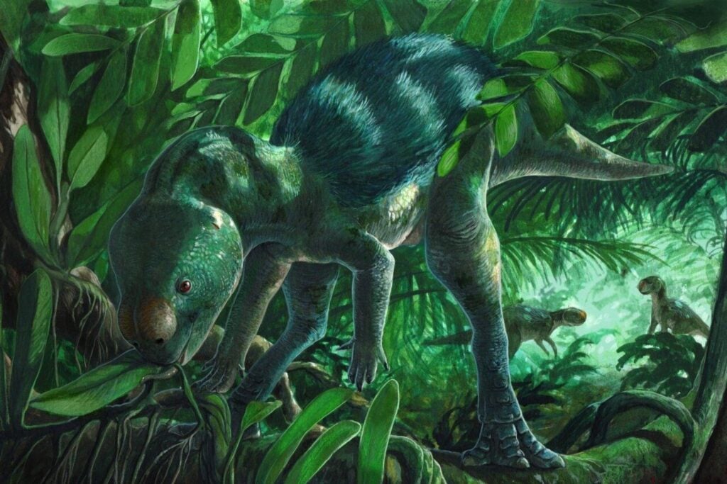 En España encontraron un dinosaurio del tamaño de un pollo que vivió hace 120 millones de años. Lo que descubrieron en su cráneo dejó perplejos a los científicos y está cambiando radicalmente lo que sabíamos de la evolución