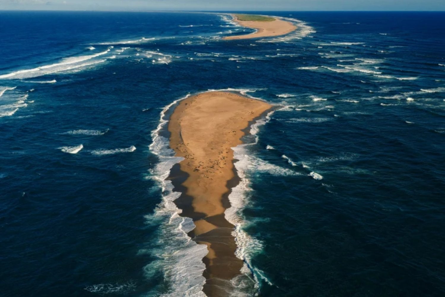 En medio del Atlántico hay una isla de niebla y caballos salvajes que parece sacada de una novela. En 1971, una estudiante llegó para dibujarlos y encontró algo que cambiaría su vida para siempre