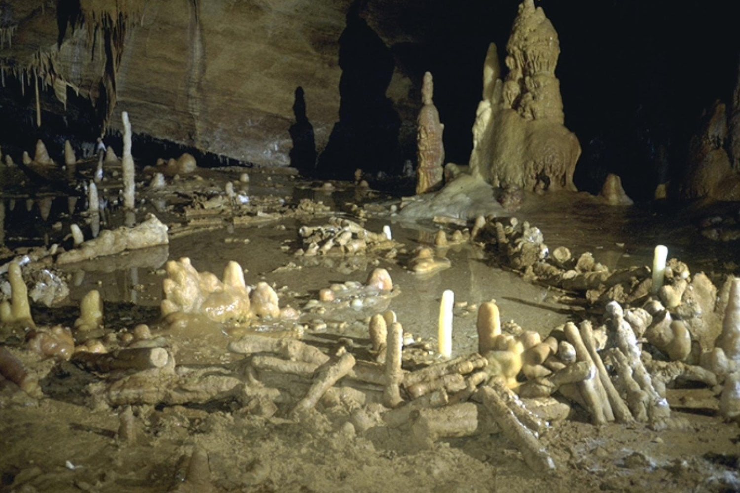 Hace 176.000 años, los neandertales construyeron algo inexplicable en una cueva de Francia. Ahora sabemos que tuvieron que atravesar cientos de metros de oscuridad para hacerlo