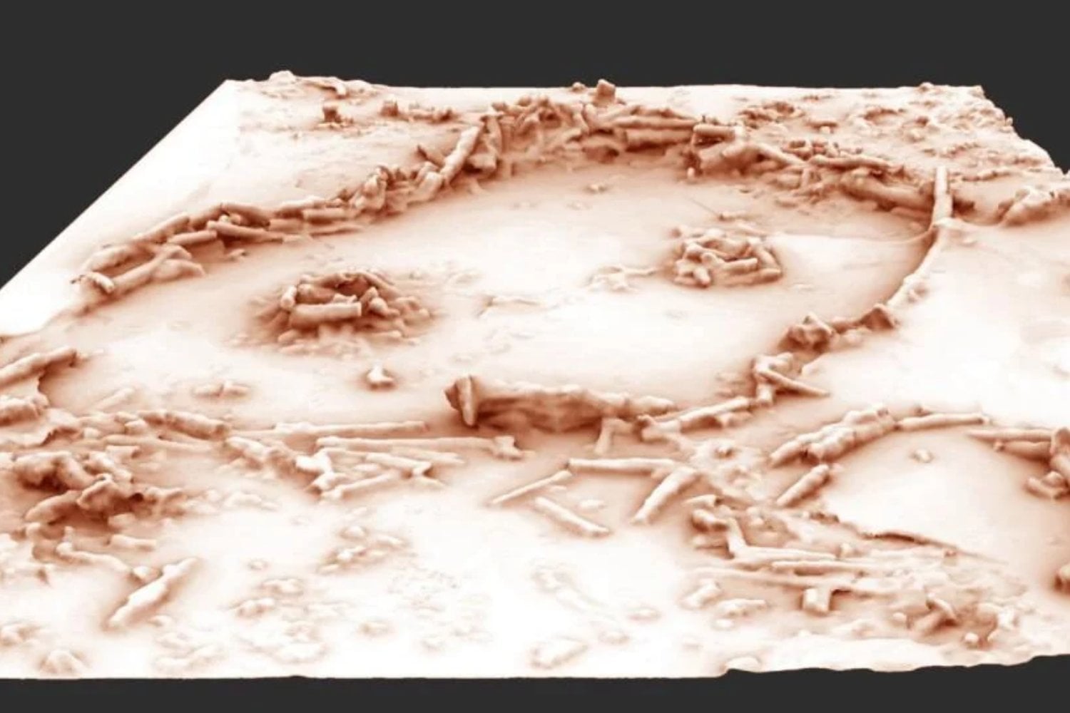 Hace 176.000 años, los neandertales construyeron algo inexplicable en una cueva de Francia. Ahora sabemos que tuvieron que atravesar cientos de metros de oscuridad para hacerlo