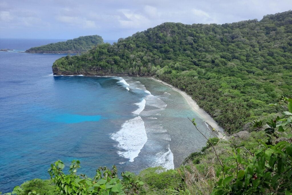 Una isla de Samoa eliminó las ratas y los cerdos invasores. Solo un año después, la naturaleza está haciendo algo que parecía imposible