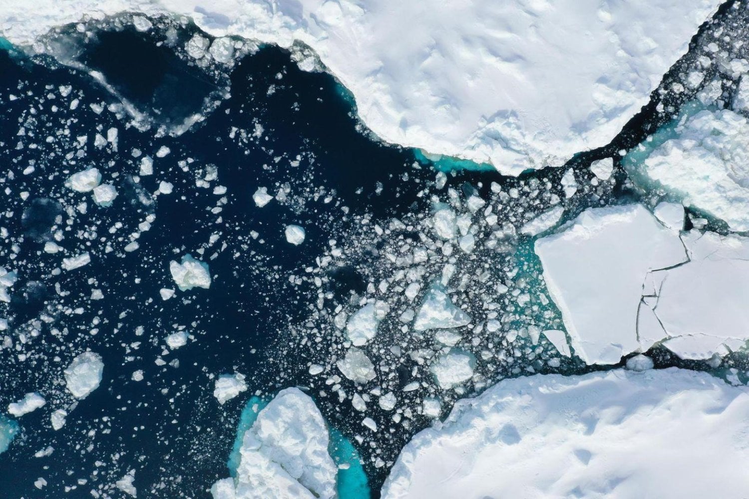La Antártida está perdiendo hielo y algo extraño ocurre bajo el océano. Los científicos descubrieron que el agua se vuelve más salada