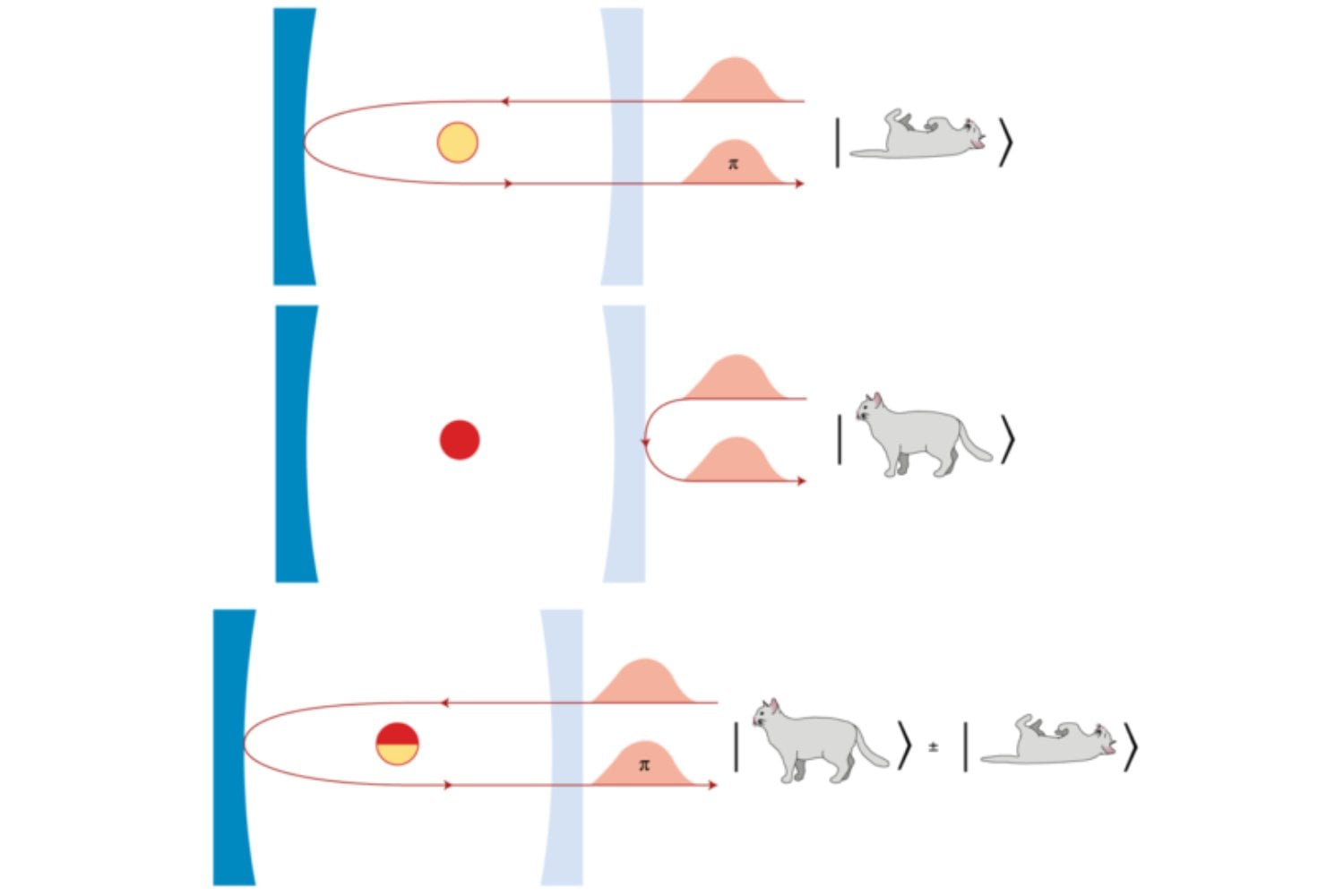 Físicos hicieron “más grande” al gato de Schrödinger que nunca. Lo extraño es que siguió comportándose como si dos realidades coexistieran