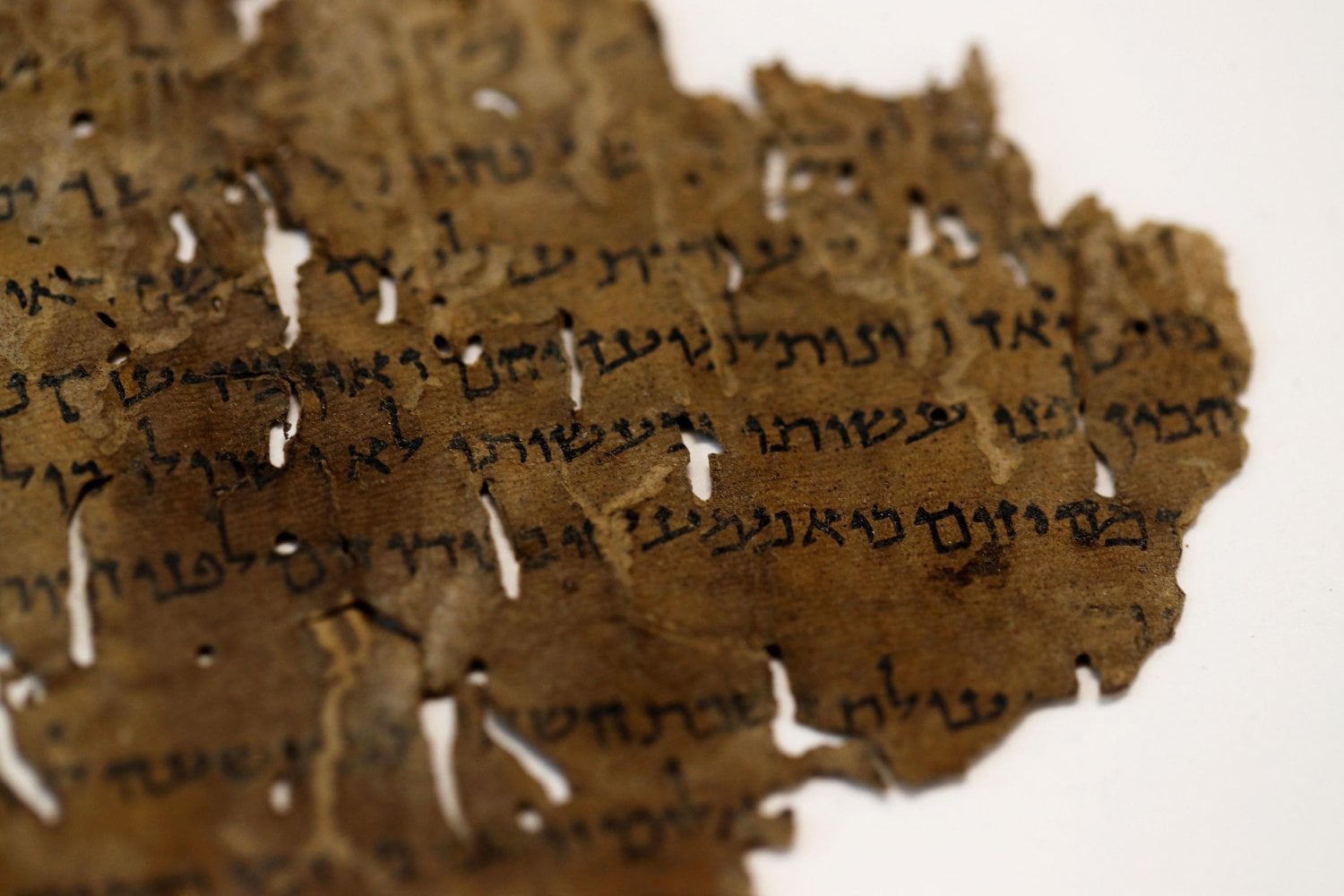 Durante casi 2.000 años, los Manuscritos del Mar Muerto guardaron un misterio. Una inteligencia artificial acaba de encontrar algo que podría cambiar su historia