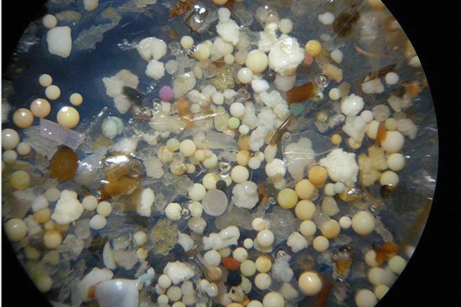 Creíamos que los microplásticos eran partículas prácticamente inertes. La ciencia acaba de descubrir lo que ocurre cuando entran en contacto con el agua