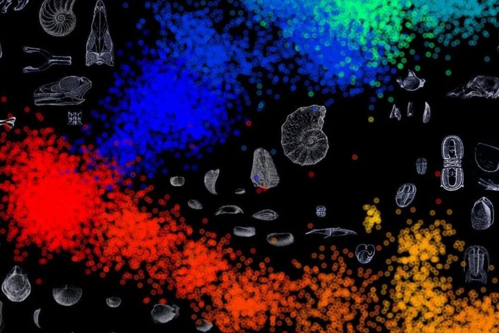 Una inteligencia artificial ha revisado 540 millones de años de fósiles y encontrado algo desconcertante. Tres de las cinco grandes extinciones de la Tierra podrían no haber ocurrido como creíamos