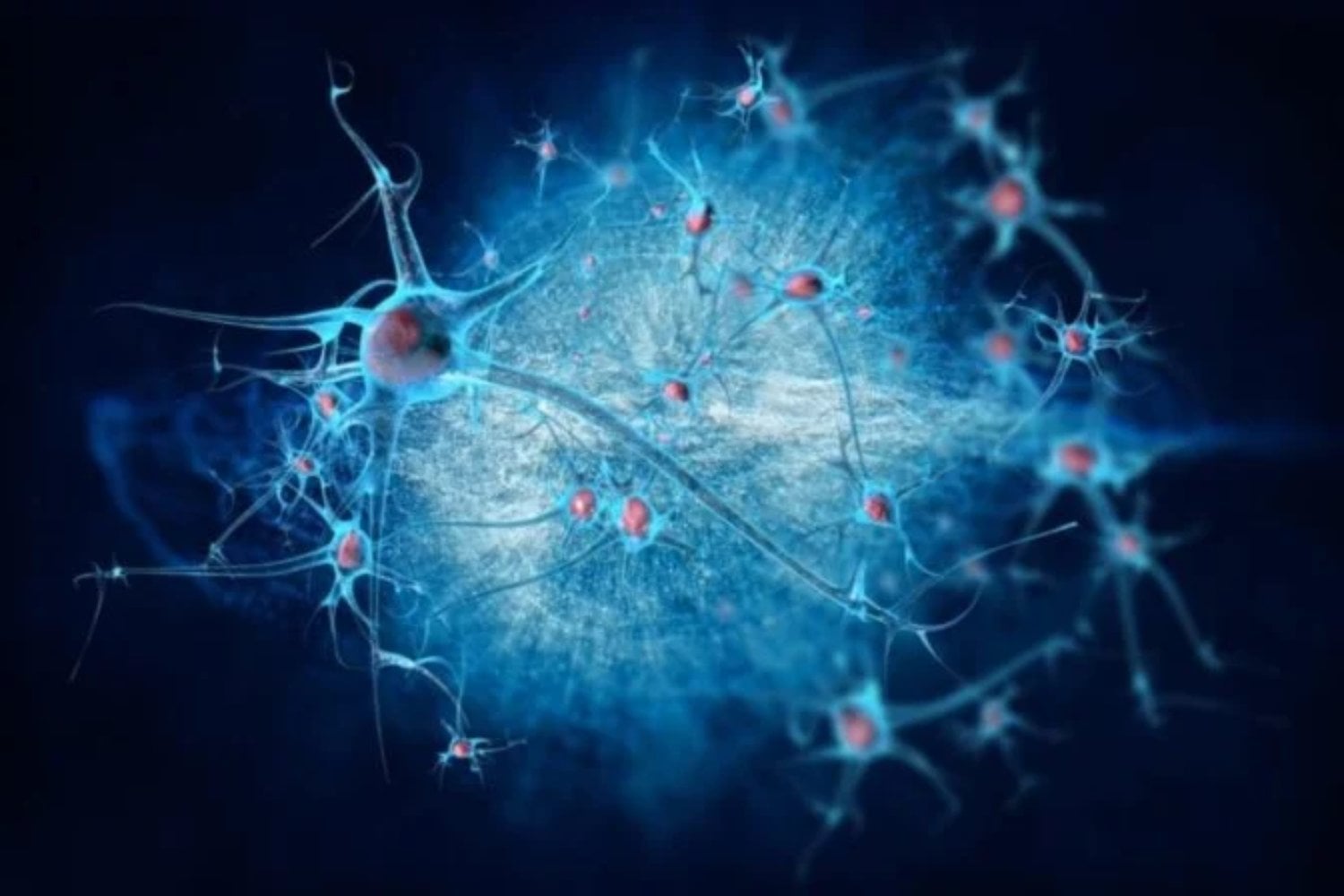 Criaron ratones en tres mundos completamente distintos. Meses después, sus neuronas no solo funcionaban diferente: habían aprendido a leer sus genes de otra manera