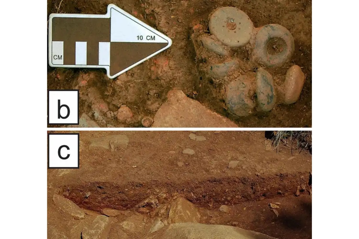 Hace 2.000 años, en Portugal ya conocían un truco para que la ropa no perdiera el color. Los arqueólogos descubrieron que bastaban flores, vinagre y una roca