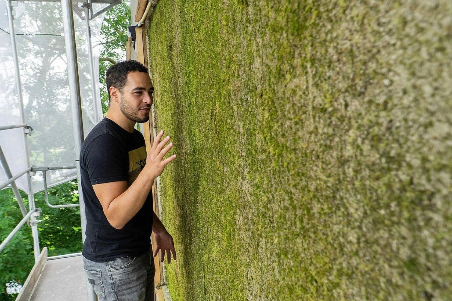 Países Bajos quiere acabar con los muros grises de las ciudades. Ha desarrollado un hormigón donde crece musgo y ya está transformando paredes en pequeños ecosistemas