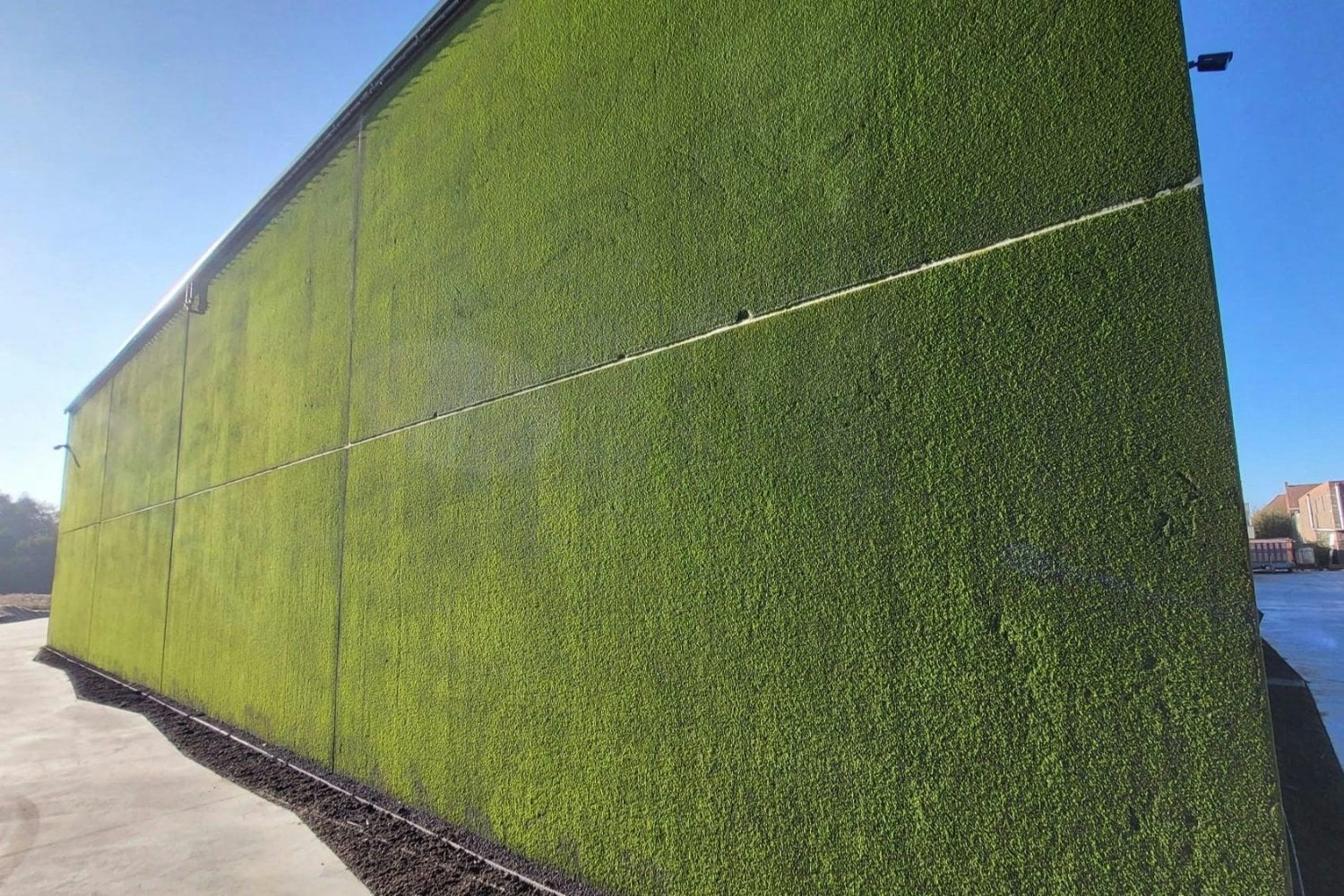 Países Bajos quiere acabar con los muros grises de las ciudades. Ha desarrollado un hormigón donde crece musgo y ya está transformando paredes en pequeños ecosistemas