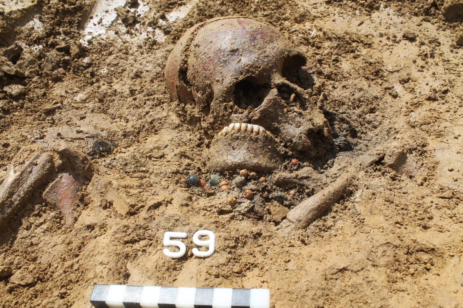 Roma cayó en el siglo V. Lo que ocurrió después no fue simplemente una “invasión bárbara”: el ADN está contando una historia mucho más interesante