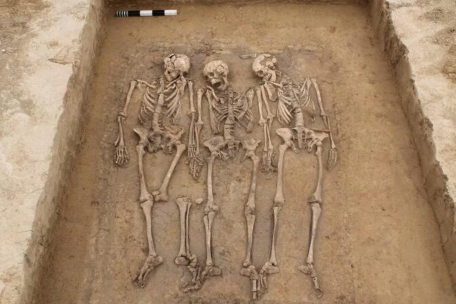 Roma cayó en el siglo V. Lo que ocurrió después no fue simplemente una “invasión bárbara”: el ADN está contando una historia mucho más interesante