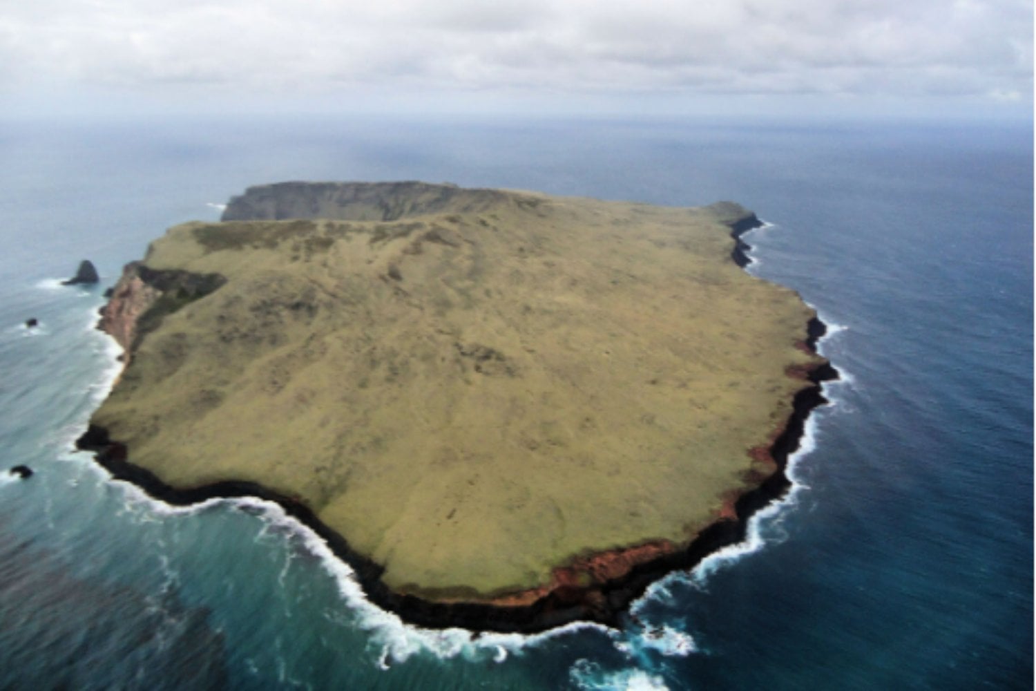 Cinco vacas quedaron abandonadas en una isla remota y se multiplicaron durante más de un siglo. Su ADN terminó desmontando una historia que la ciencia daba por cierta