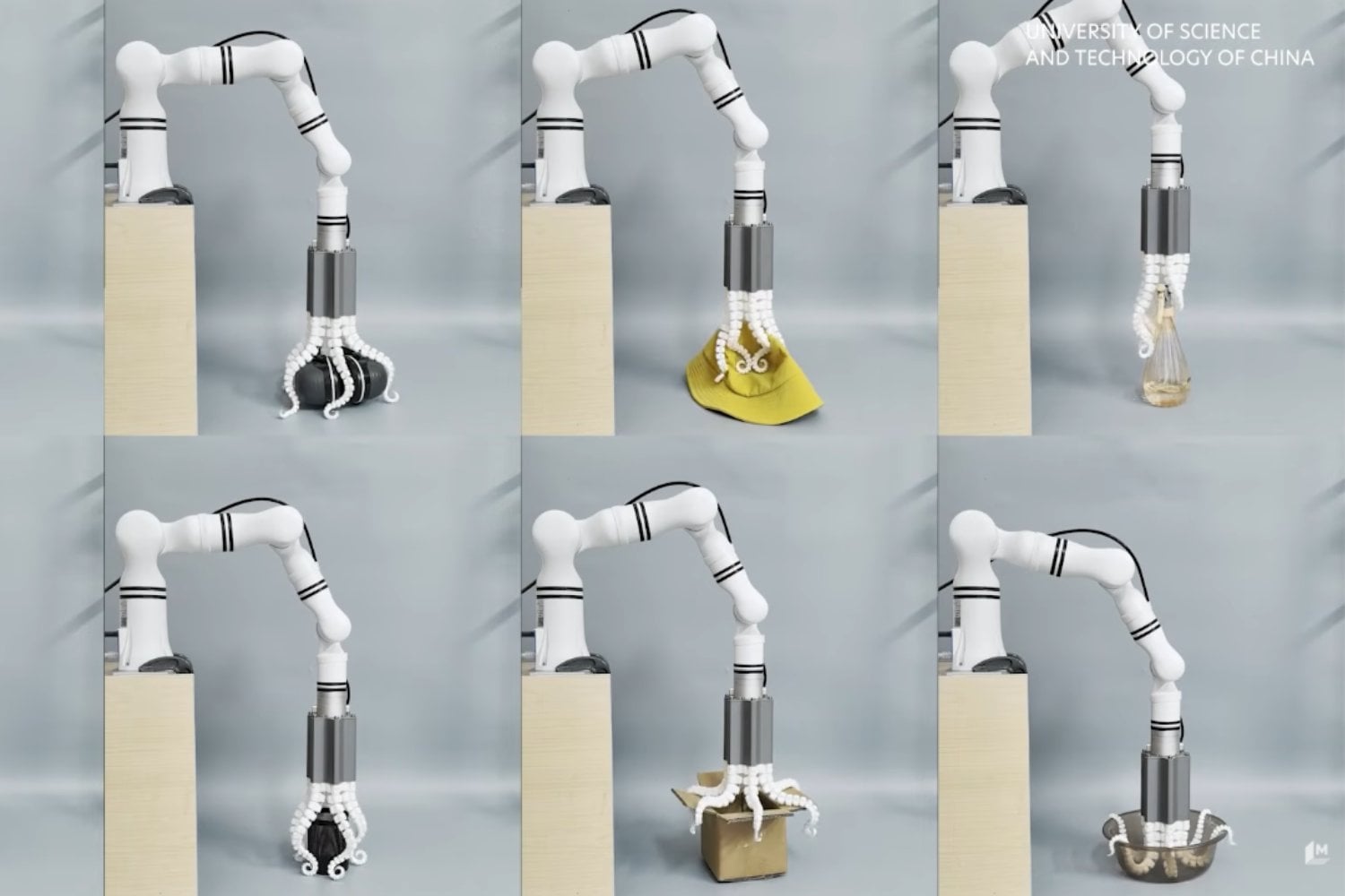 Un robot blando inspirado en los pulpos logra movimientos complejos con un solo músculo artificial