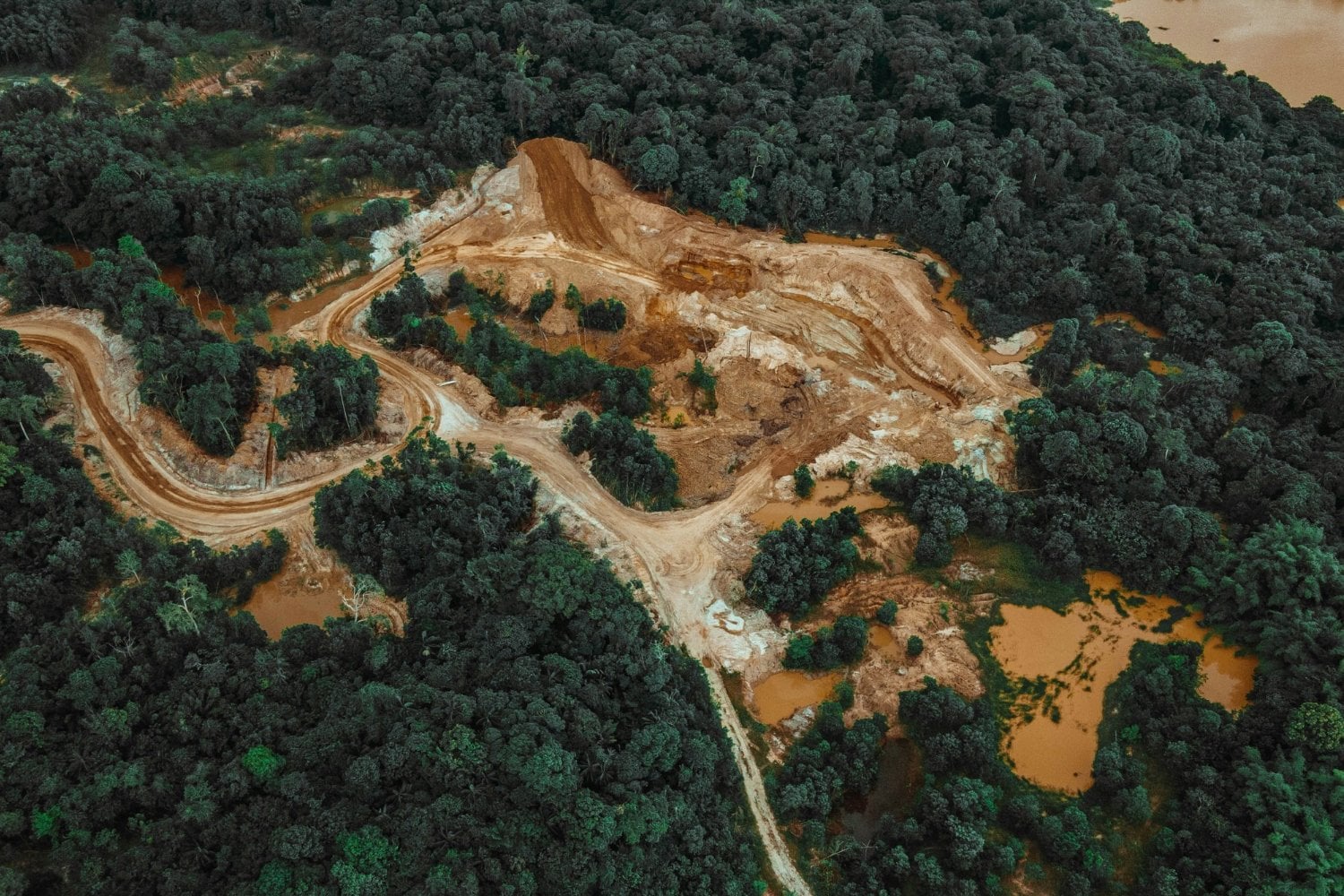 Una buena noticia para el planeta esconde una realidad alarmante: la deforestación disminuye, pero millones de hectáreas siguen desapareciendo