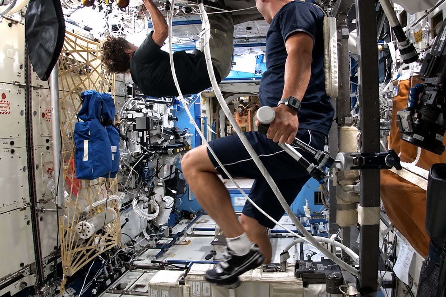 ¿Podrá el cuerpo humano soportar un viaje a Marte? Un nuevo estudio revela resultados inesperados