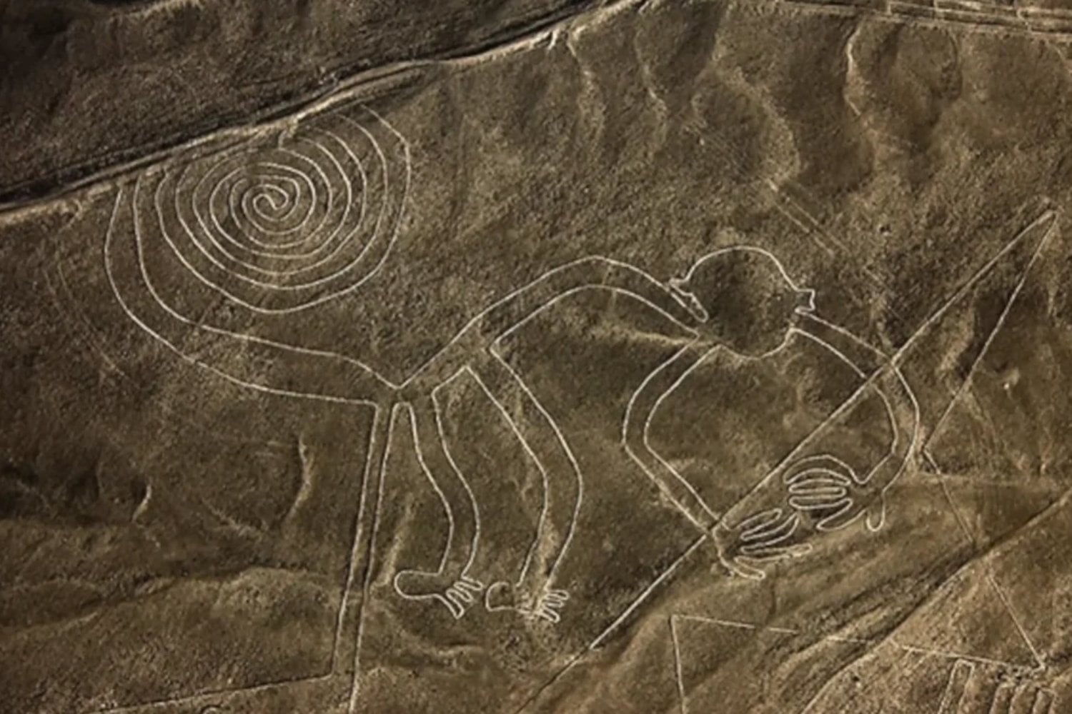 Una inteligencia artificial descubre cientos de figuras ocultas en las Líneas de Nazca que los arqueólogos no vieron durante un siglo