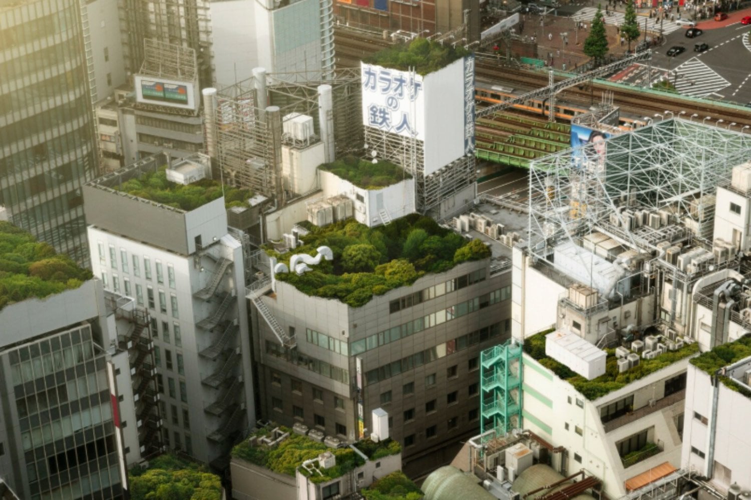 Europa busca su ciudad más verde de 2028: ocho finalistas y tres son de España