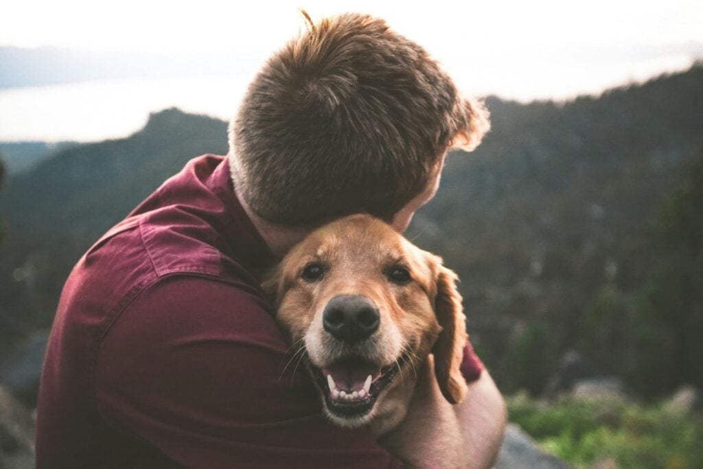¿Tener perros o gatos realmente mejora la salud y alarga la vida? Un estudio con más de 2.300 personas revela un resultado inesperado