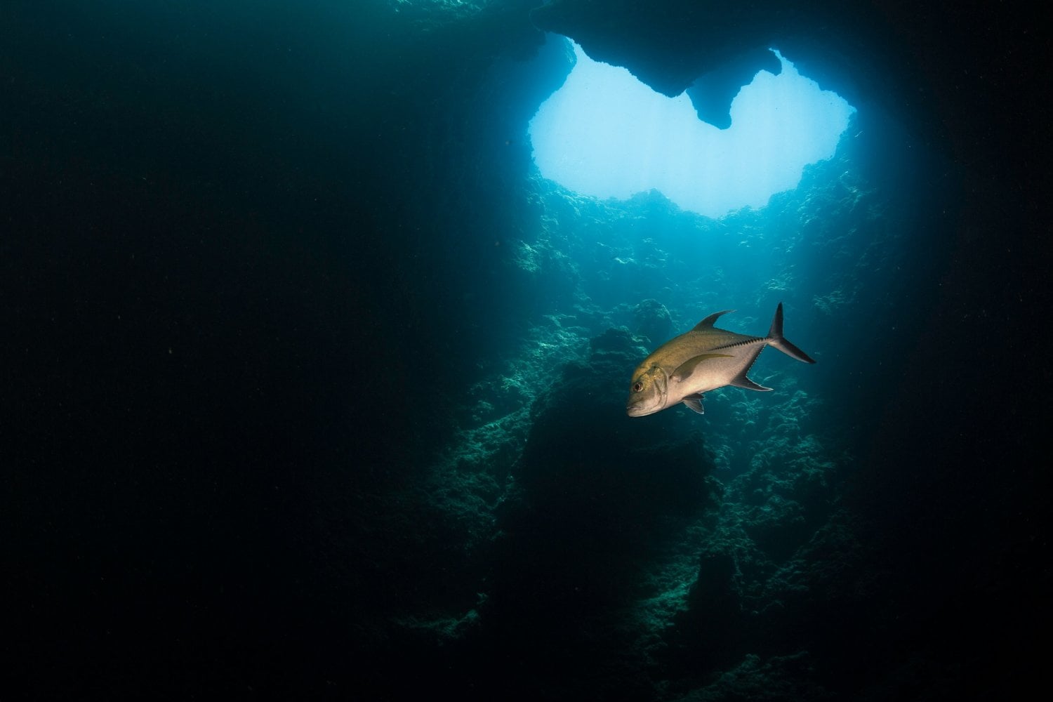 Cómo se forman los agujeros azules, las enormes cuevas submarinas de color azul intenso