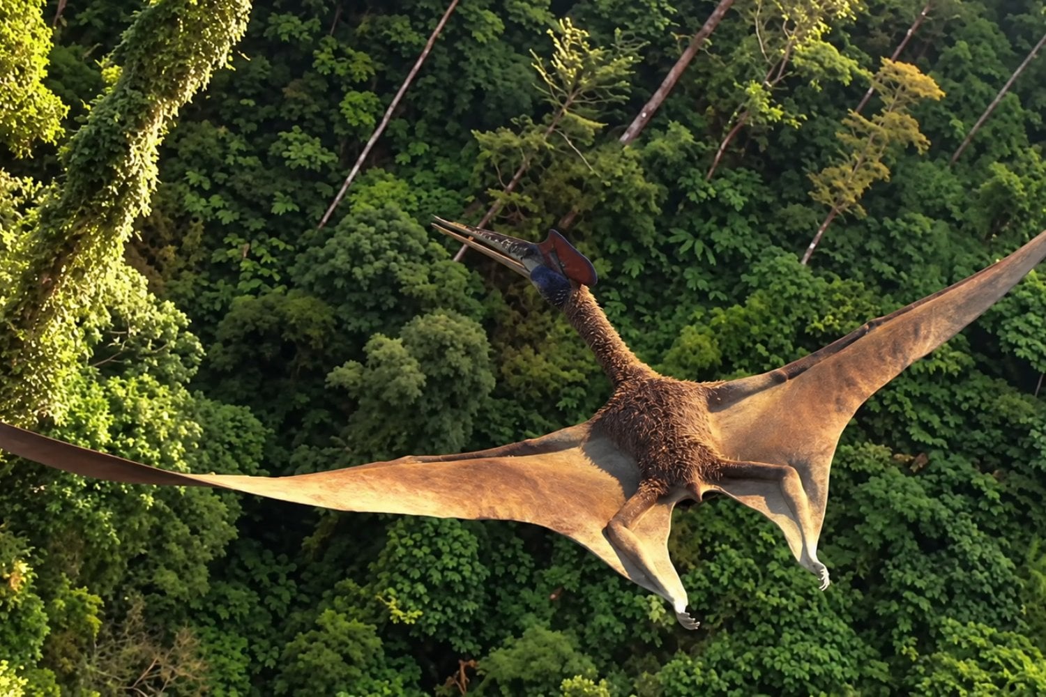 Era tan alto como una jirafa y podía volar: cómo despegaba uno de los animales más grandes de la prehistoria
