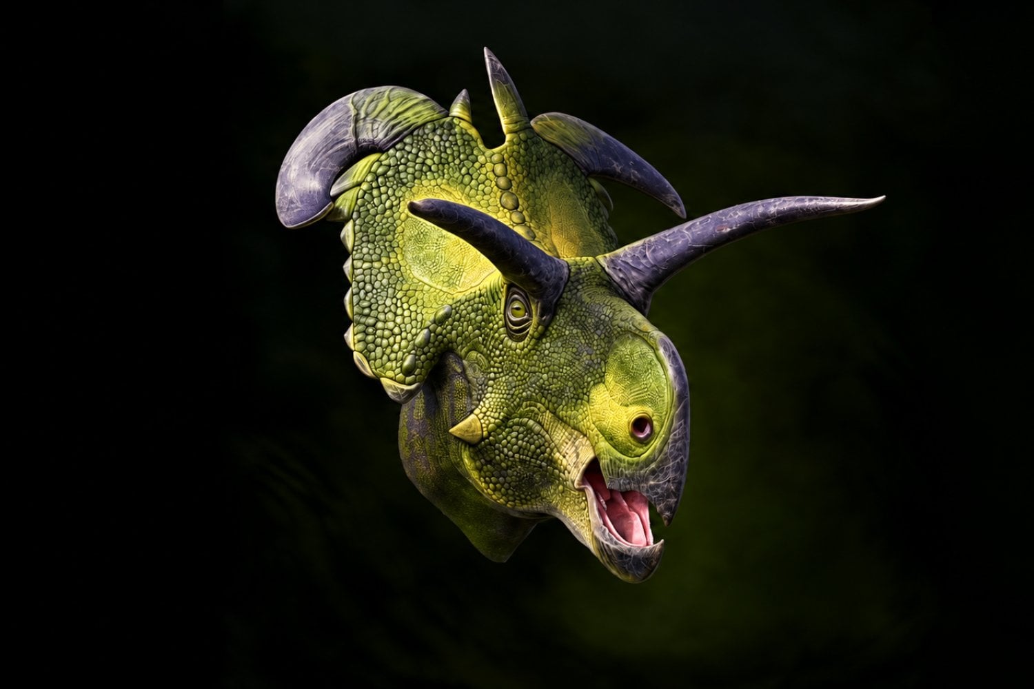 1. Los cuernos de este dinosaurio eran tan peculiares que pudieron servir para distinguirse de sus vecinos