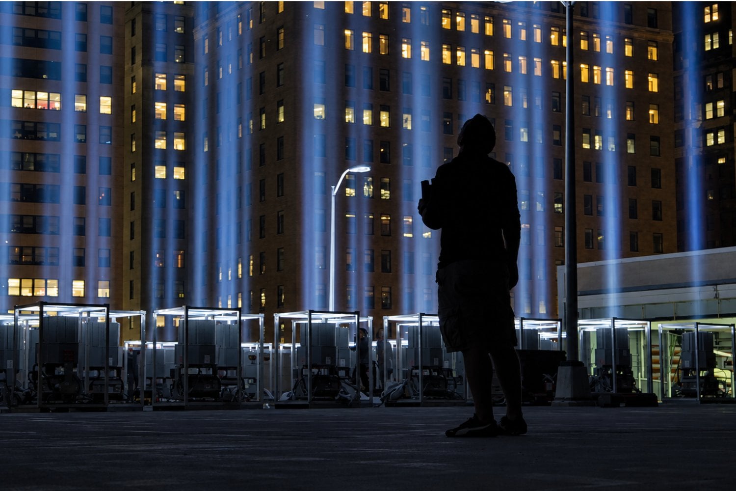 Las luces del homenaje al 11-S en Nueva York alteraron el vuelo de 1,1 millones de aves: los científicos descubrieron cómo evitarlo