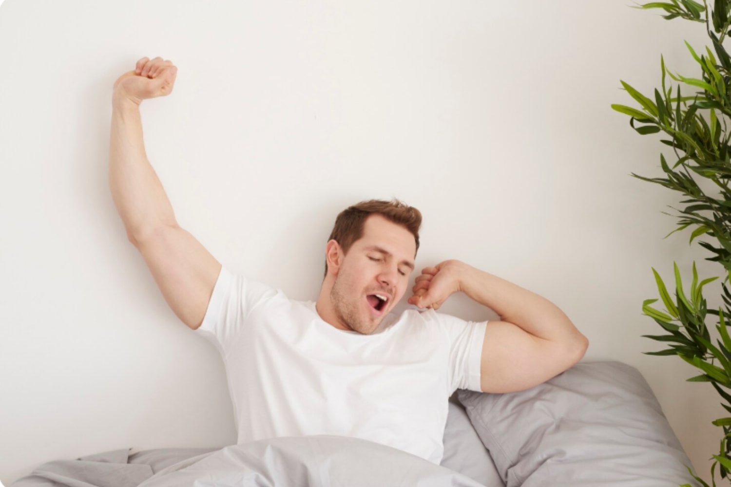 Algunas personas pueden dormir solo cuatro o seis horas y sentirse descansadas: la genética podría explicar por qué