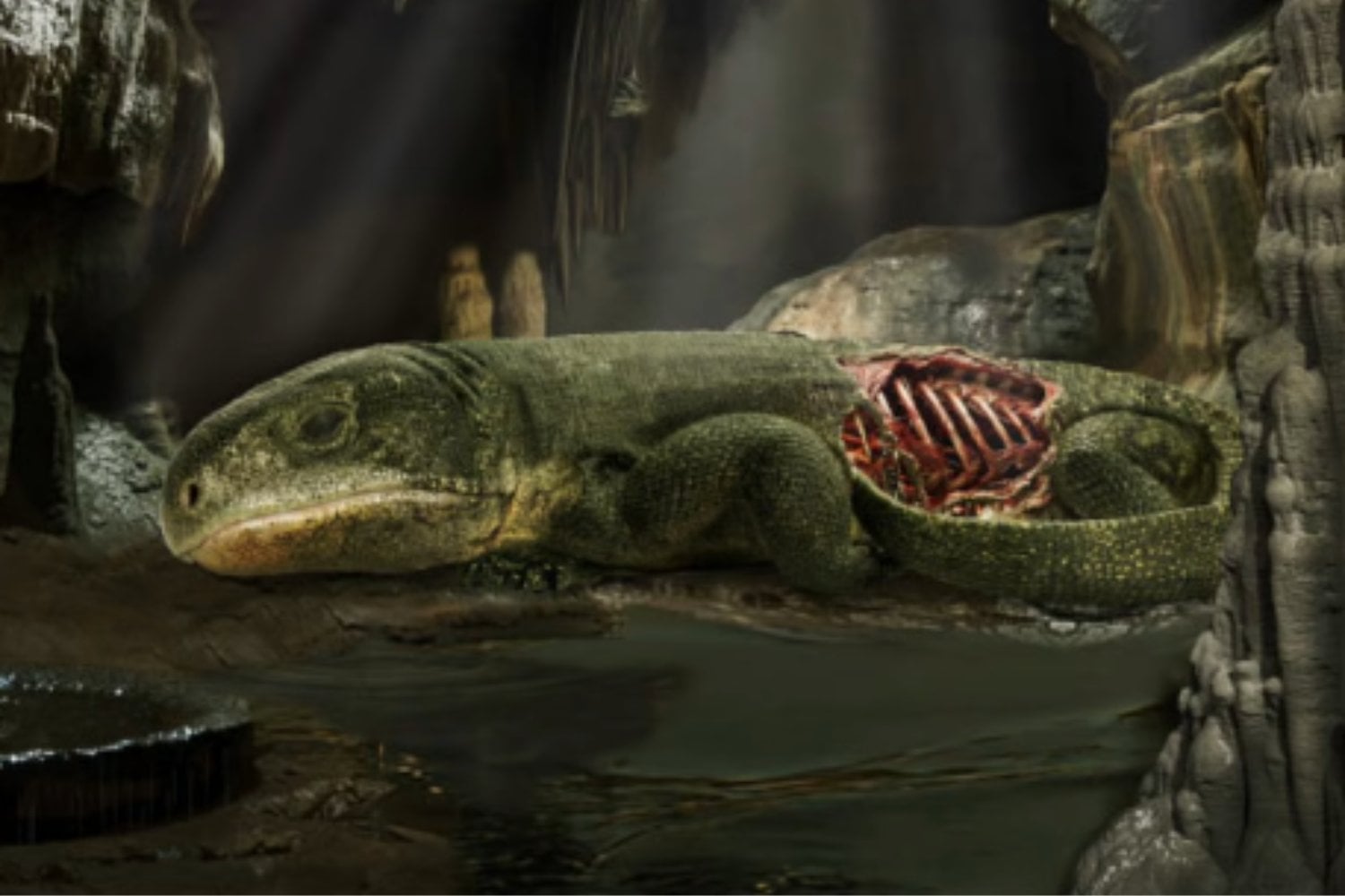 Un reptil de hace 289 millones de años revela cómo empezó a evolucionar nuestra forma de respirar