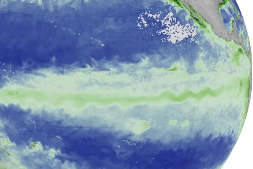 El Niño está transformando el Pacífico: el nivel del mar sube hasta 40 centímetros y desaparece el verde
