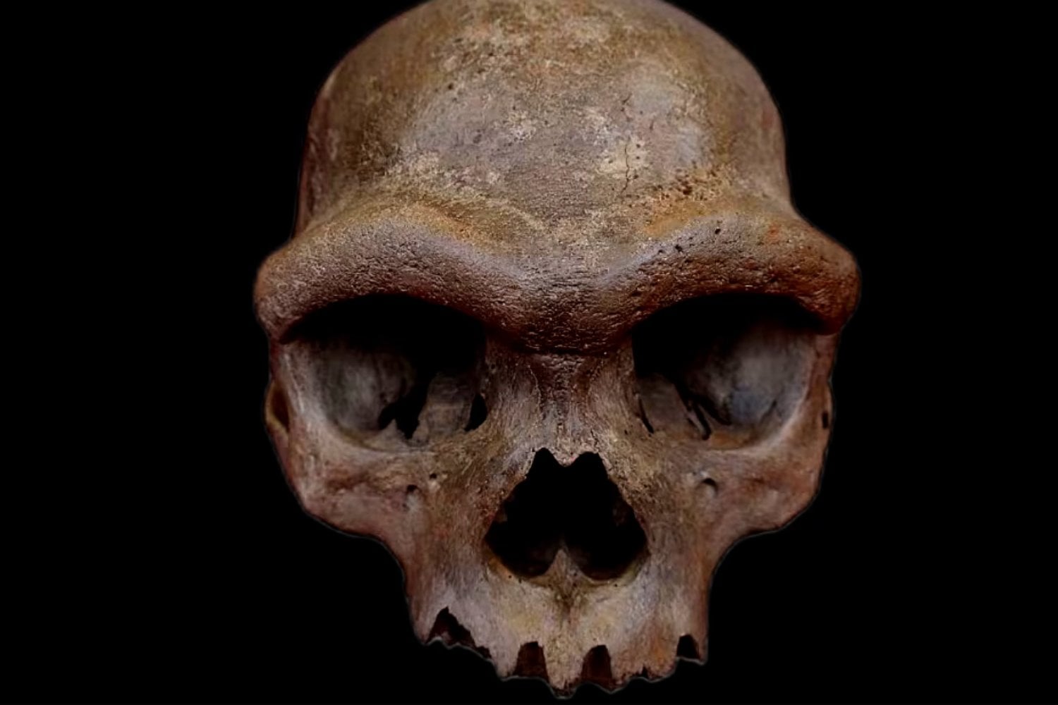 Neandertales y denisovanos desaparecieron, pero una parte de ellos sigue viva en nosotros