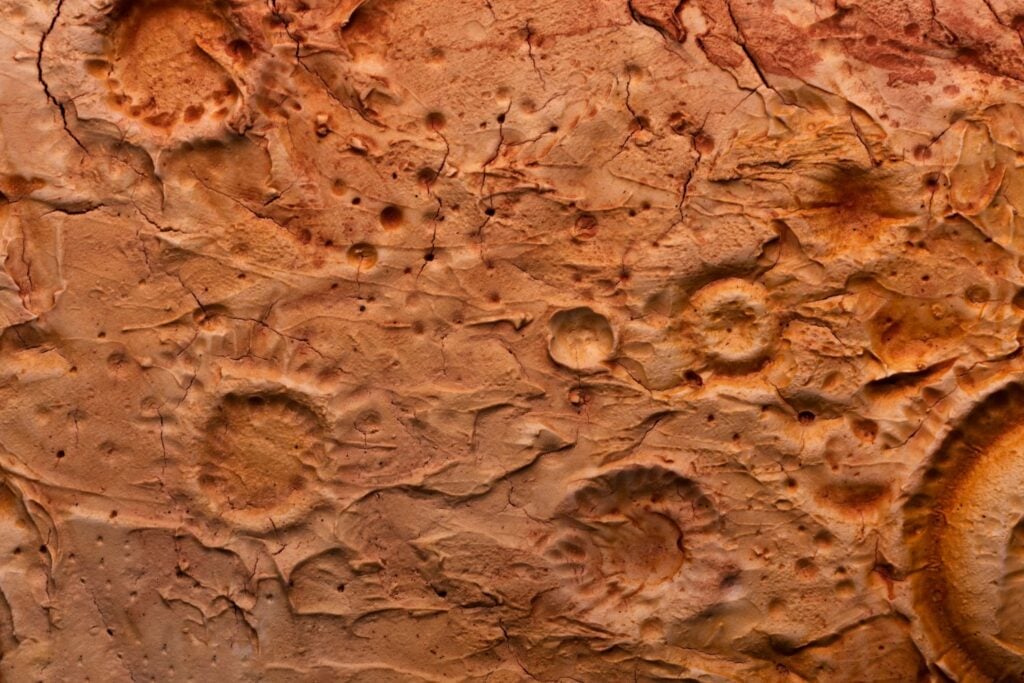 Una bacteria terrestre sobrevivió cinco días bajo condiciones similares a las de Marte y siguió metabólicamente activa