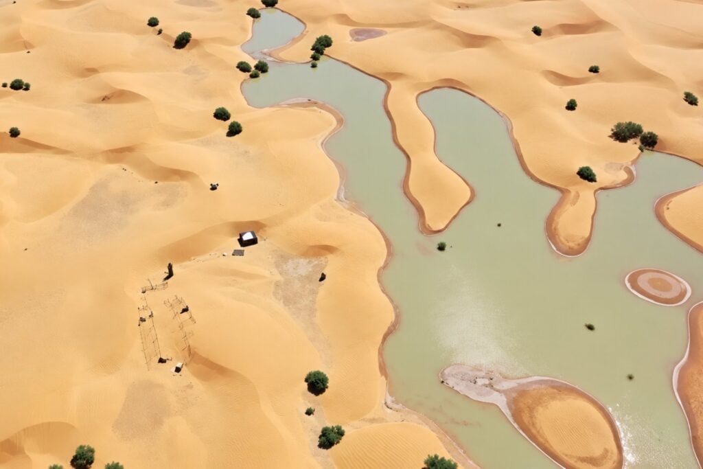 El desierto del Sáhara se llenó de extrañas manchas azules: la NASA reveló qué fenómeno provocó esta transformación