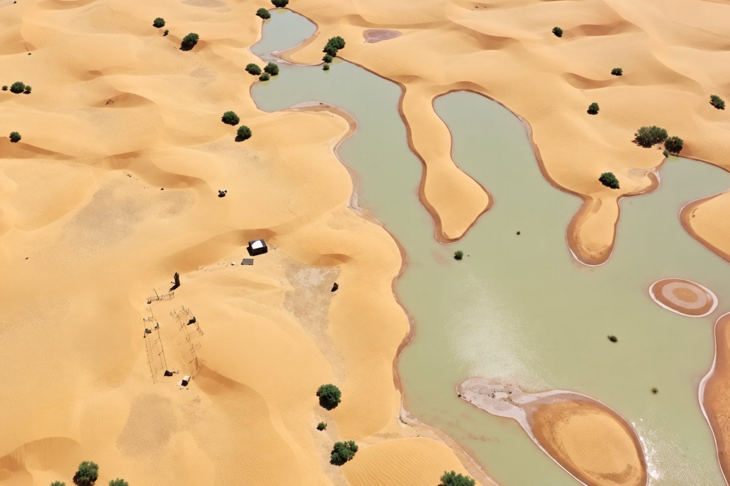 El desierto del Sáhara se llenó de extrañas manchas azules: la NASA reveló qué fenómeno provocó esta transformación