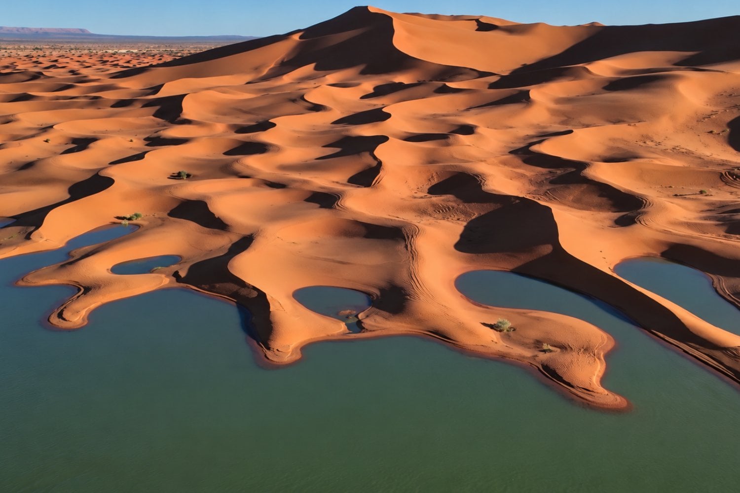 El desierto del Sáhara se llenó de extrañas manchas azules: la NASA reveló qué fenómeno provocó esta transformación