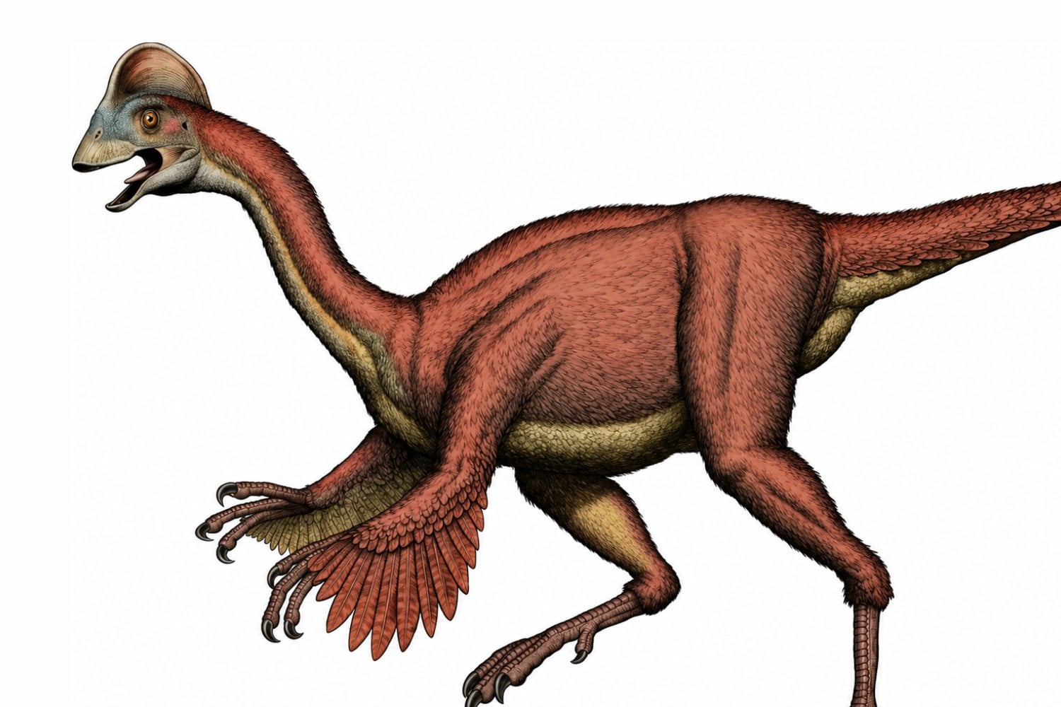 Descubren un dinosaurio apodado la “gallina del infierno” que vivió junto al T. rex y tenía una dieta inesperada
