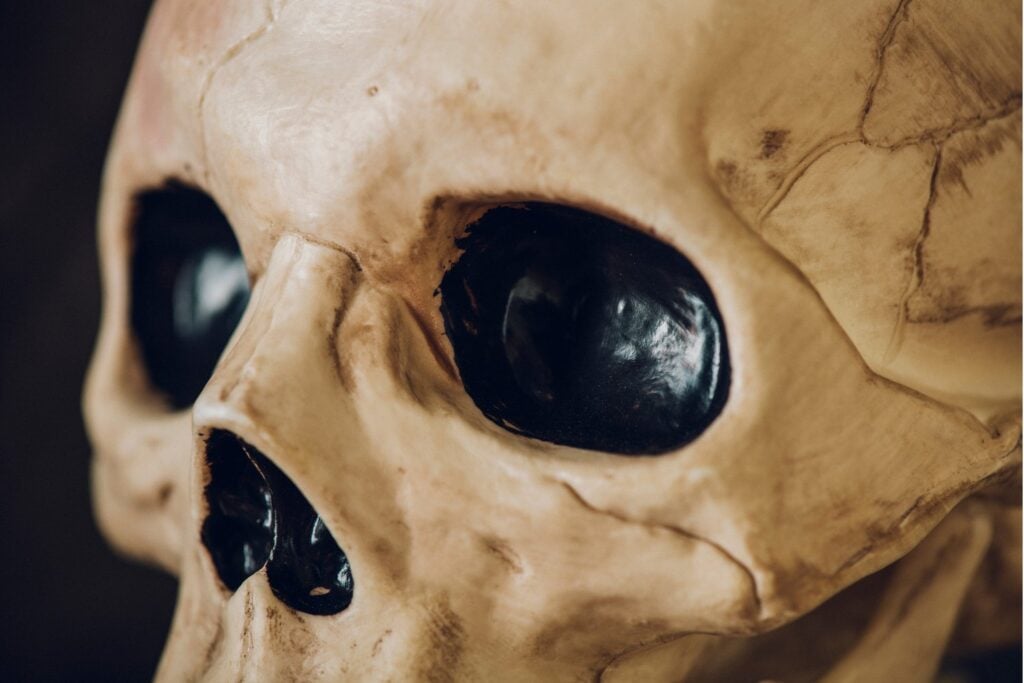 Analizaron 46 cráneos del antiguo Egipto y casi el 40% tenía señales de muerte violenta