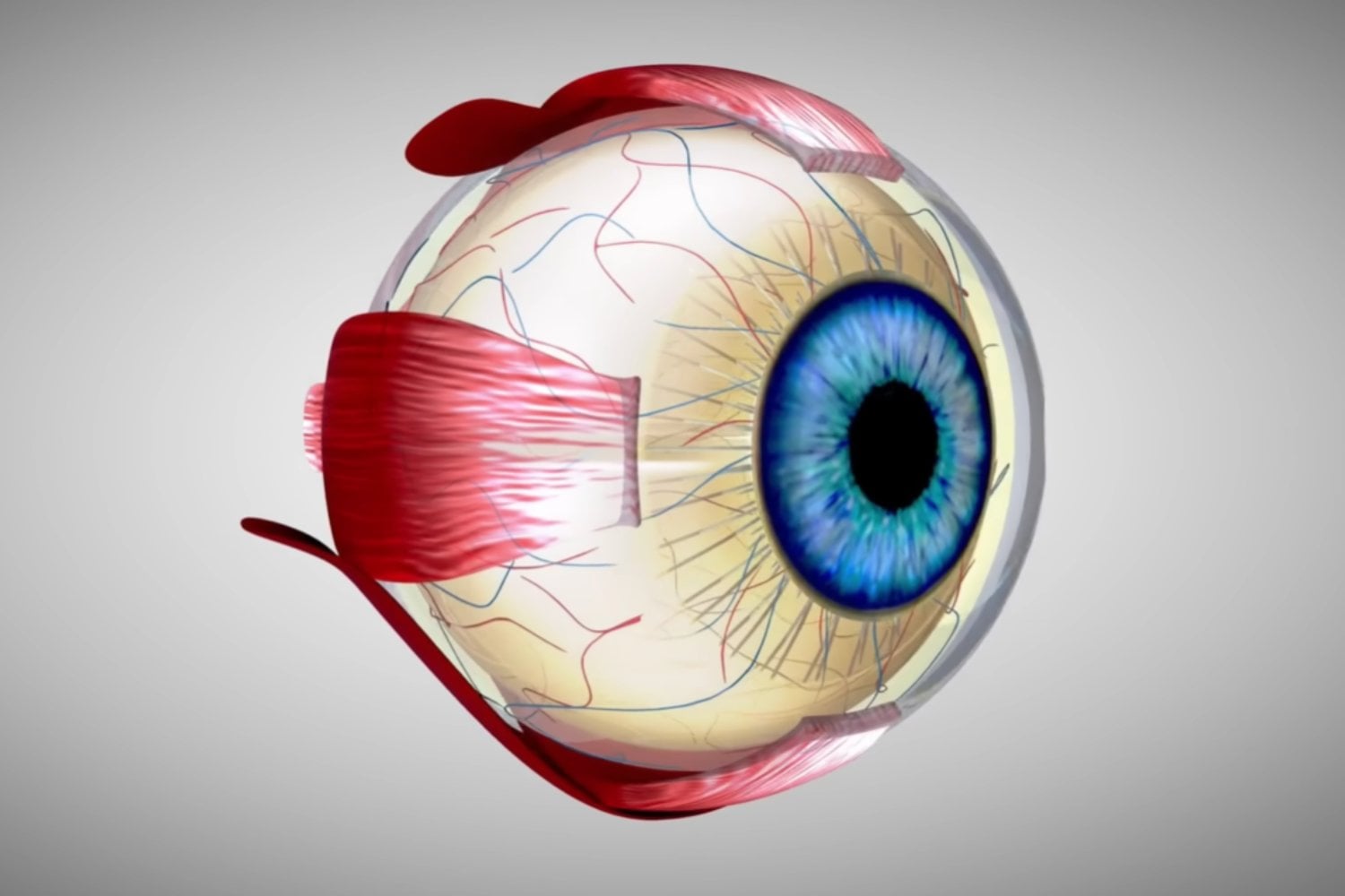 Crean lentes de contacto que permiten ver luz infrarroja sin baterías ni dispositivos externos